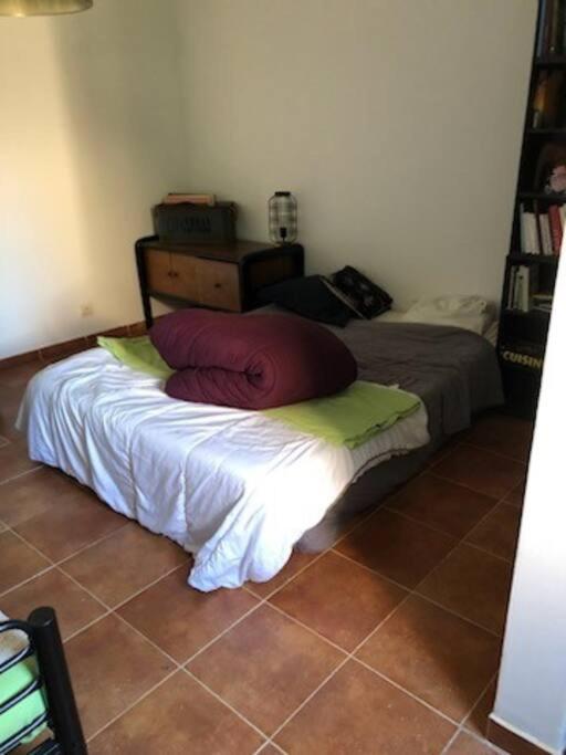 Villa En Corse Du Sud Entre Mer Et Montagne Peri Екстер'єр фото